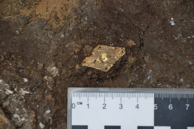 Археологическая выставка в Музее Рерихов